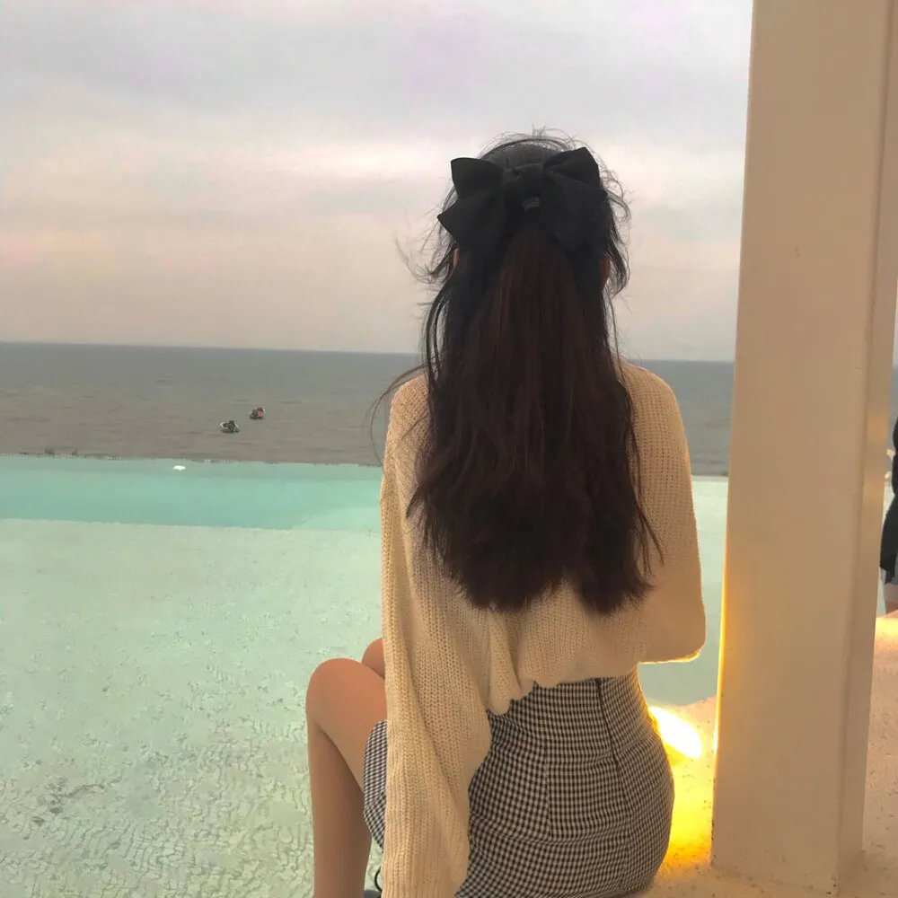 小狗吉米走私事件